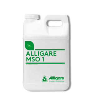 Alligare MSO 1 Modified Seed Oil