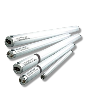 Nemesis CM Shatterproof Replacement Bulbs
