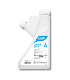 Strobe 50WG Systemic Fungicide