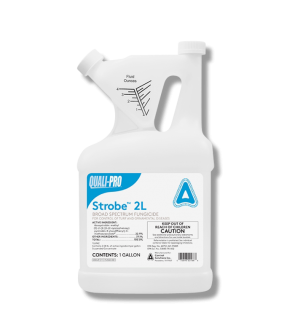 Strobe 2L Liquid Fungicide