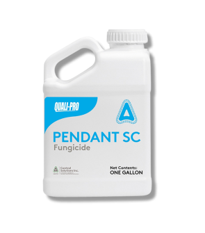Pendant SC Fungicide