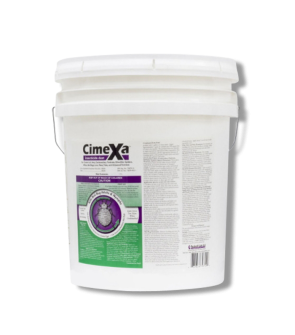 CimeXa Dust