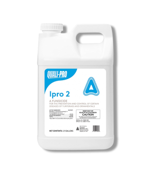 Ipro 2 Fungicide