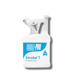 StrobeTAzoxystrobinFungicide