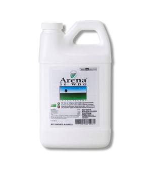 Arena 50 WDG
