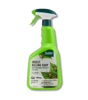 Safer Brand Insect Killing Soap RTU