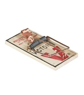 Victor M040 Professional Mouse Trap
