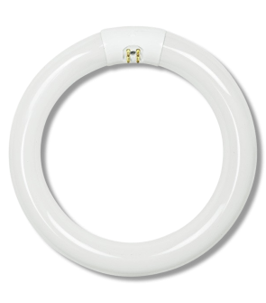 Synergetic Circline Bulb - 22 WATT