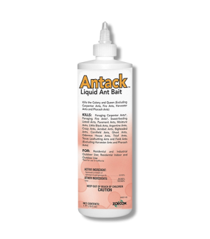 Antack Liquid Ant Bait