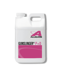 Gunslinger P+D