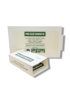 Solutions Pro Rat Glue Board XL - Peanut Butter Scent