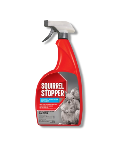 Squirrel Stopper RTU Spray Repellent