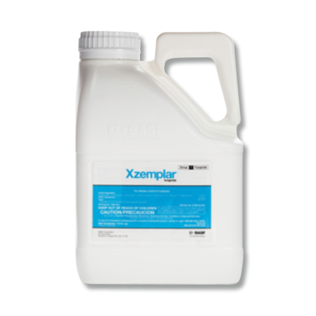 fumiページ basf114_1.png