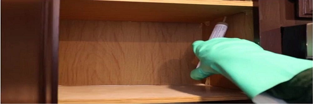 Applying Ant Gel Bait