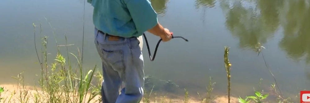 aquatic herbicide application