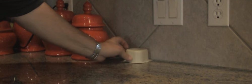 Invite Fruit Fly Trap