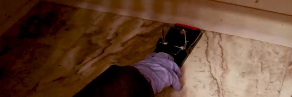 Solutions Easy Set Mouse Trap