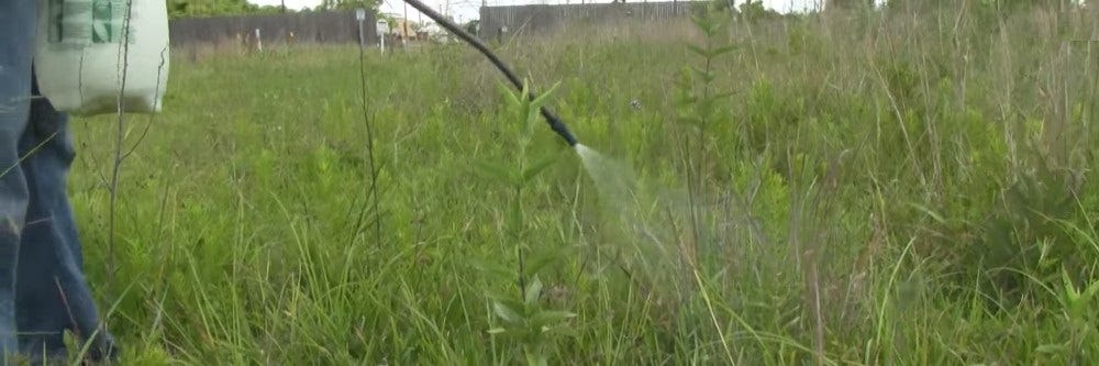 Spraying PastureGard