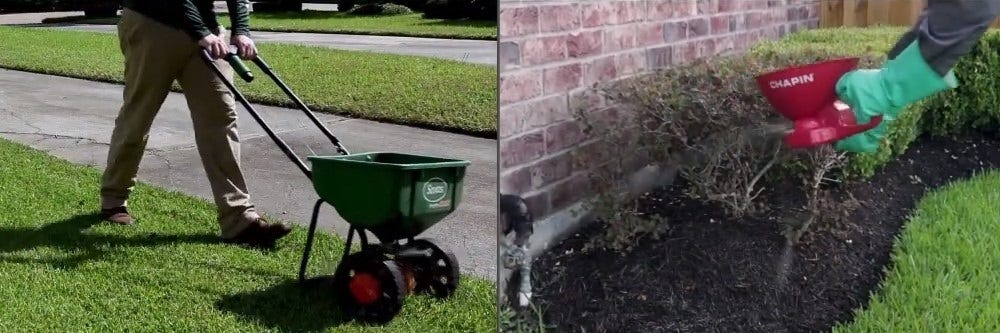 Spreading Bifen LP Insecticide Granules in a lawn and landscape bed. man applying insecticide to grass lawn and wall