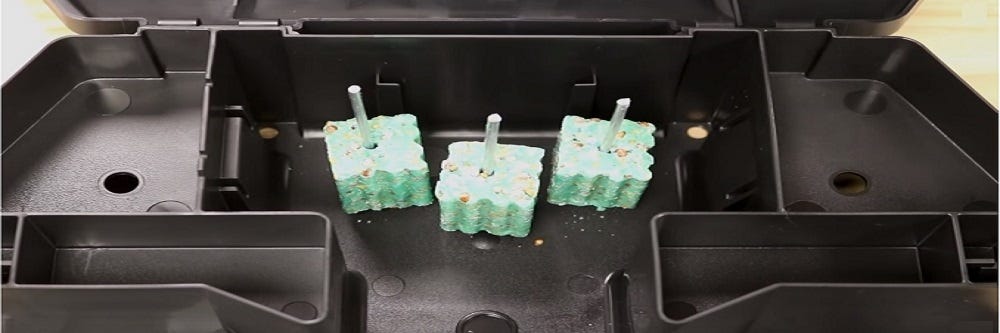 Protecta Rat Bait Station