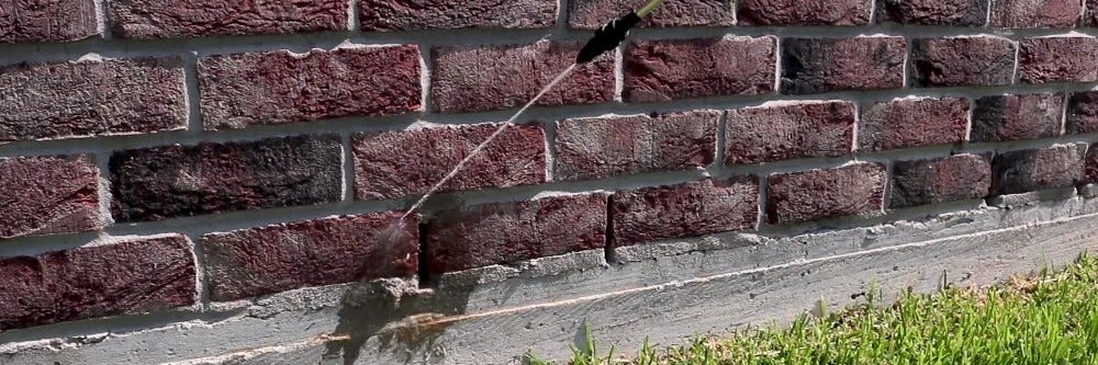 Where to spray Bifen XTS