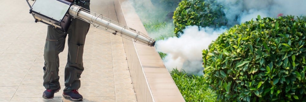 Professional Fogging Vegetation