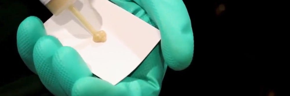 applying roach gel bait