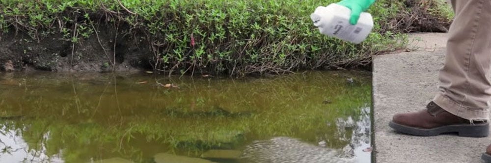 mosquitoes altosid pro g