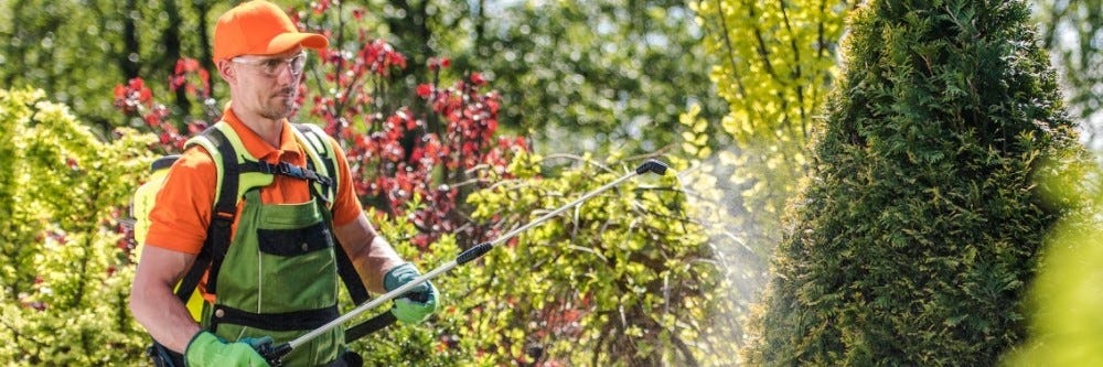 Applying A Pesticide