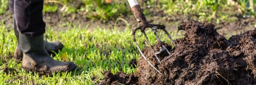 Applying Manure to Turf