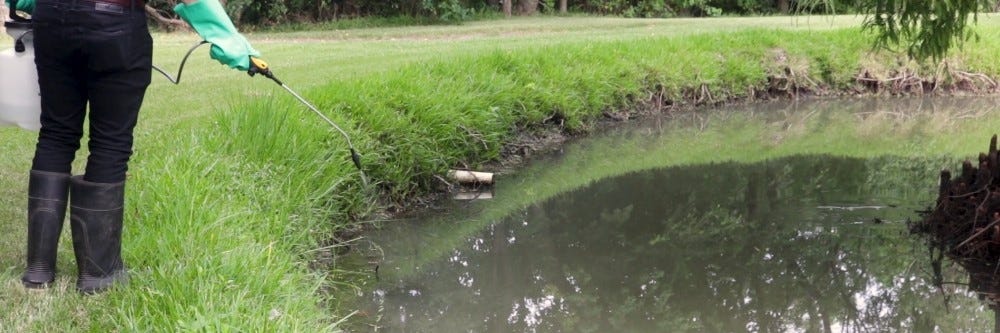 Applying Diquat to Pond to control Wild Rice