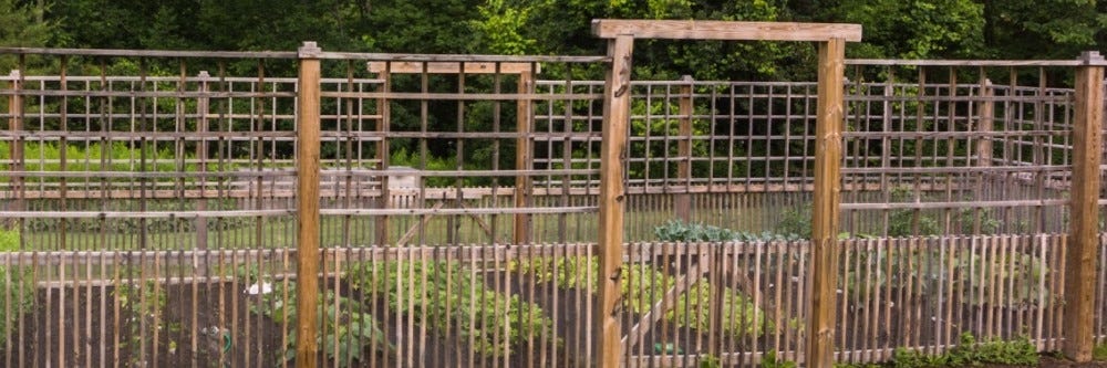 Deer Fence