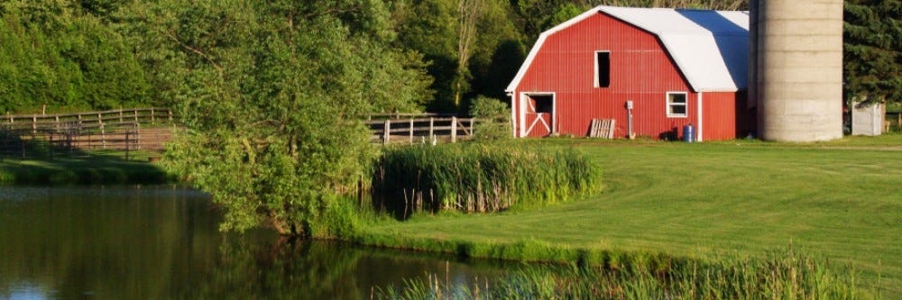 Farm Pond