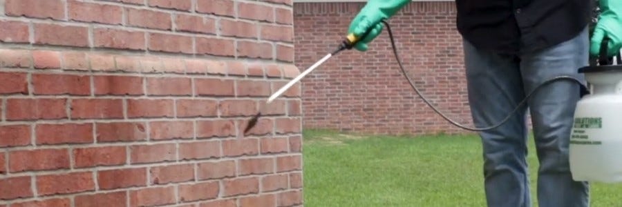 Handheld Pesticide Sprayers