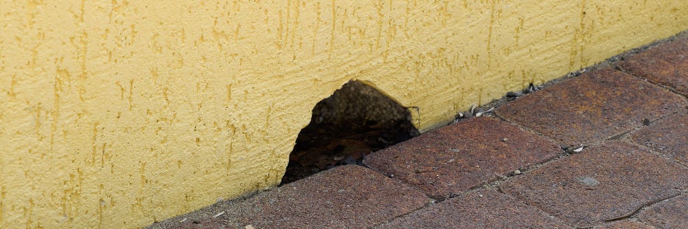 Hole in Wall