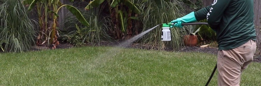 Watering Tree Dripline With Hose End Sprayer