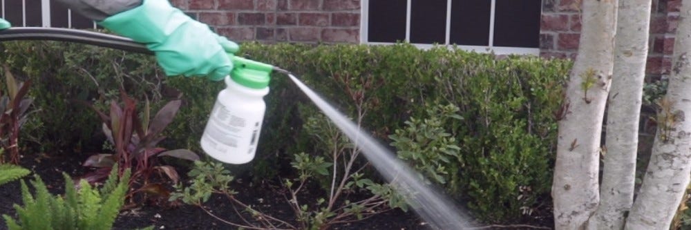 Watering with Hose-End Sprayer