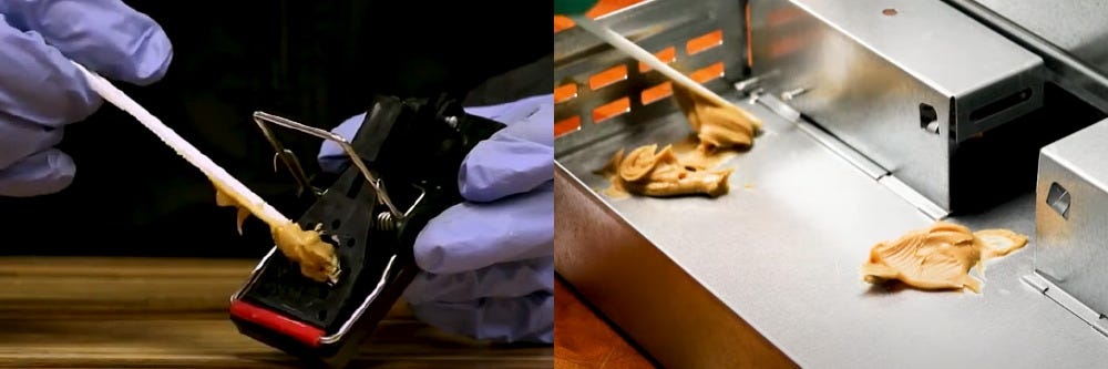 Baiting Lethal and Humane Rodent Traps Baiting Lethal and Humane Rodent Traps