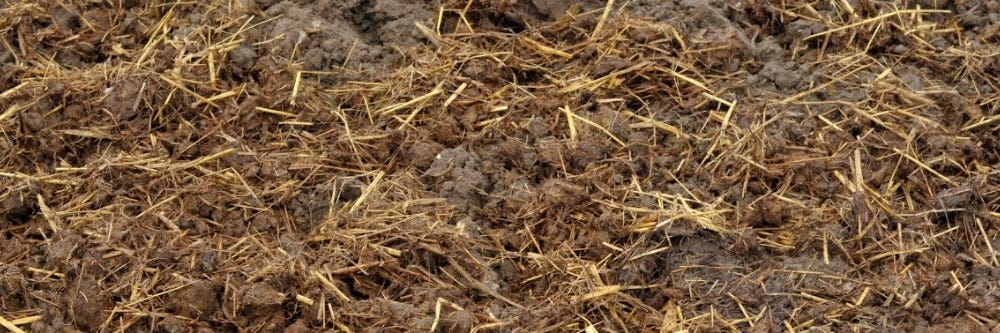 Manure Mixed With Straw