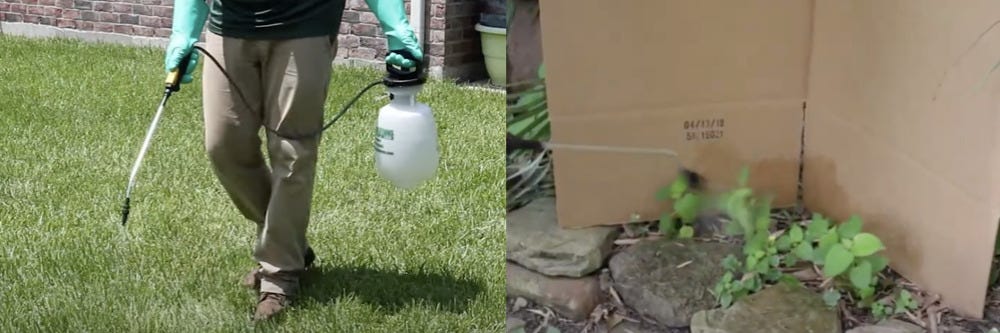 Selective and Non-Selective Treatment