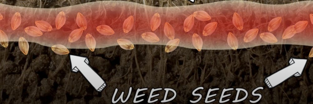Weeds Beneath Turf Soil