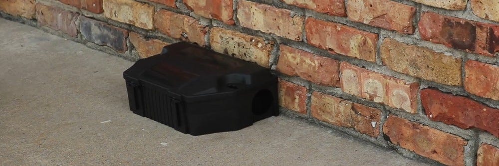 Rodent Bait Station Against Foundation