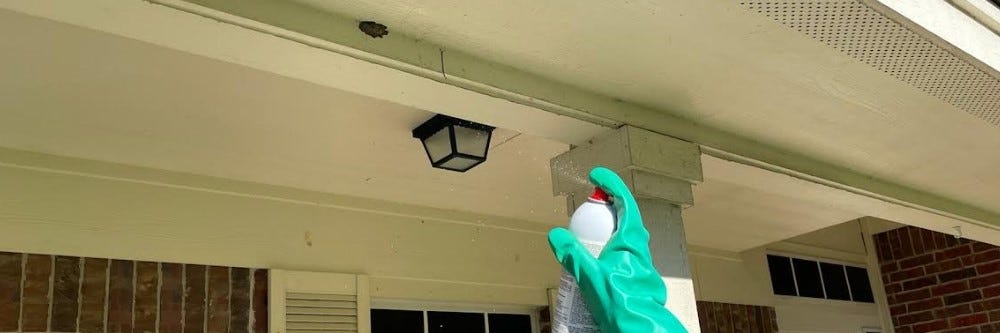 Spraying Mud Dauber Nest with Pyrid Insecticide Aerosol Spraying Mud Dauber Nest with Pyrid Insecticide Aerosol