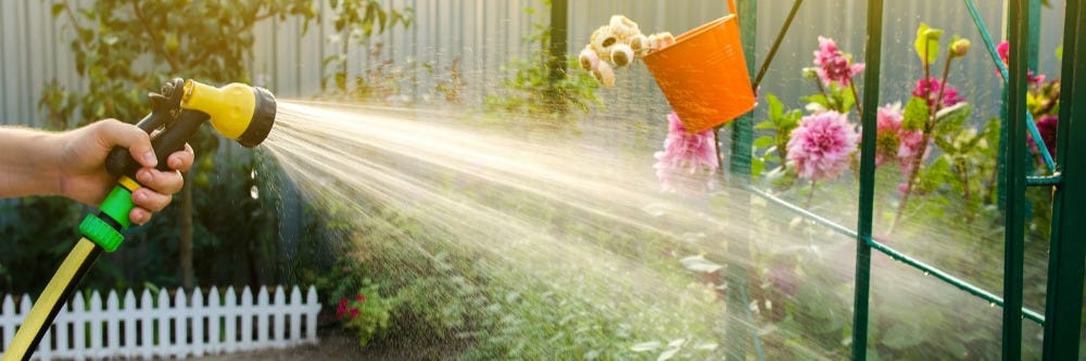 Watering Ornamentals