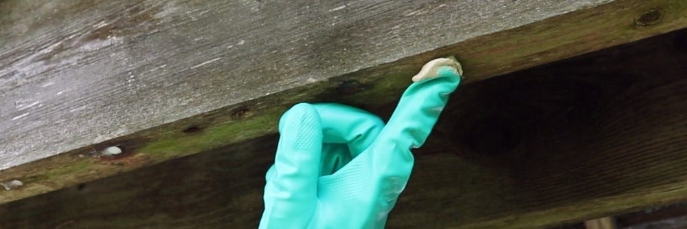 Wood Putty