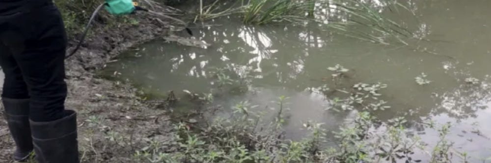 aquatic weed application