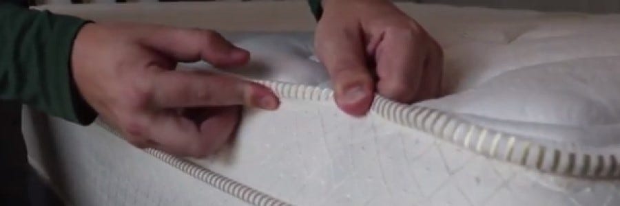 bedbug covers