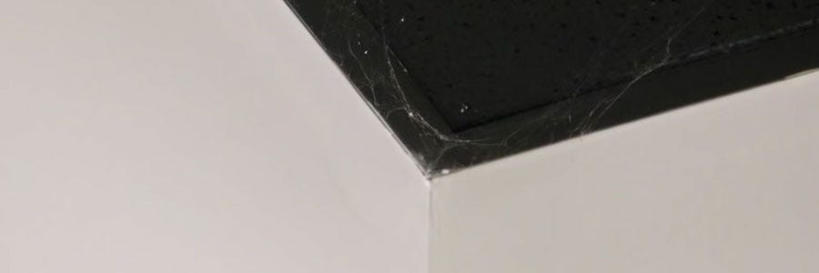 ceiling spider webs