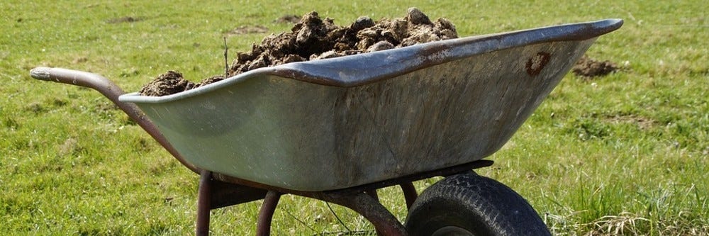 Carrying Manure in Wheelbarrow Carrying Manure in Wheelbarrow