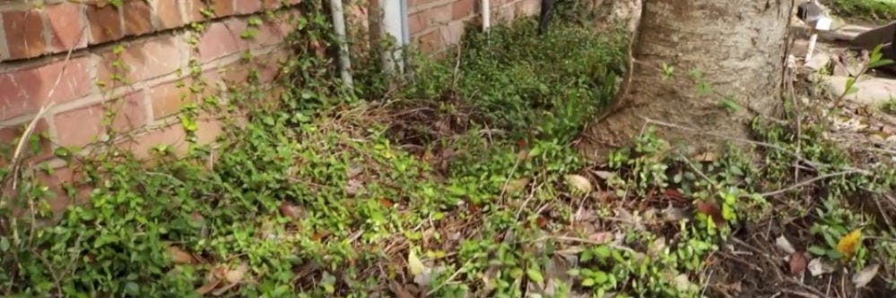 Conducive conditions